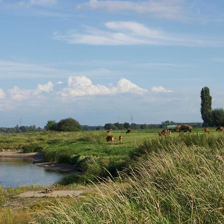 "Ferienwohnung Am Schloss" - Ferienwohnung Mit Blick Auf Das Barbyer Schloss, 5 Gehminuten Bis Zur Elbe Exteriör bild